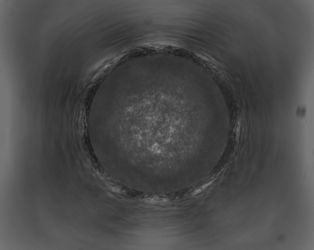 X0000091681014200708231411