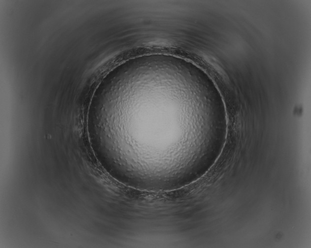 X0000091681015200708231411