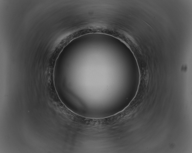 X0000091681016200708231411