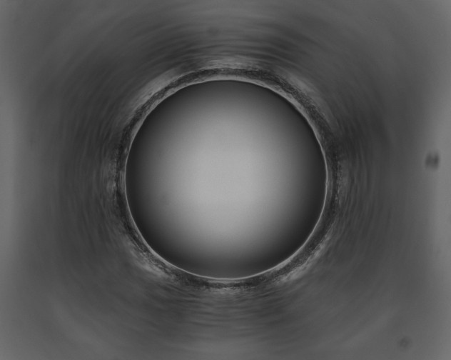 X0000091681017200708231411