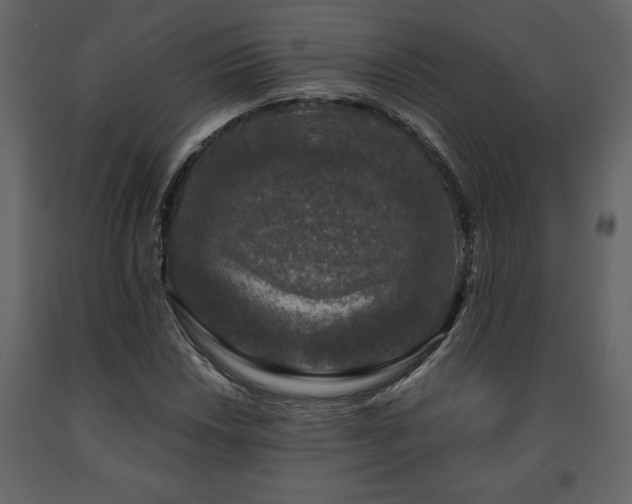 X0000091681018200708231411