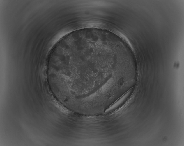 X0000091681019200708231411