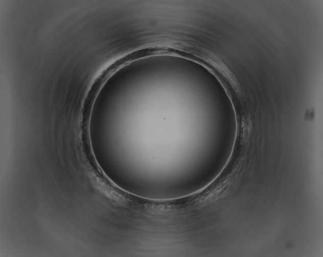 X0000091681020200708231411