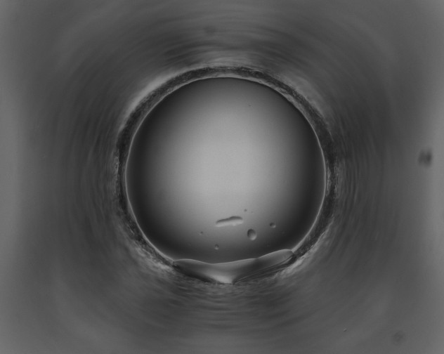 X0000091681021200708231411
