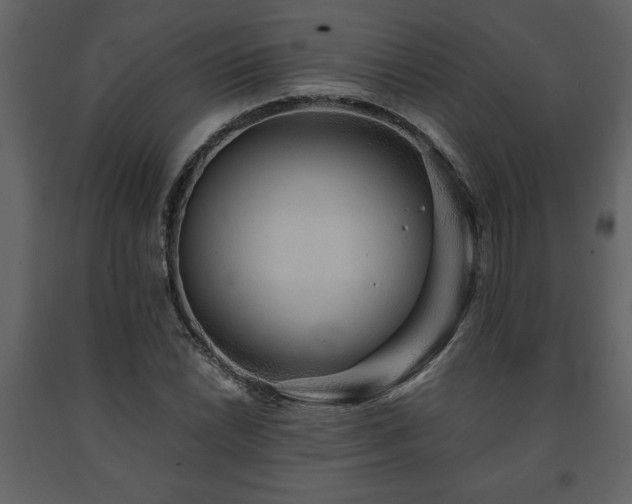 X0000091681022200708231411