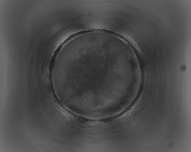 X0000091681023200708231412