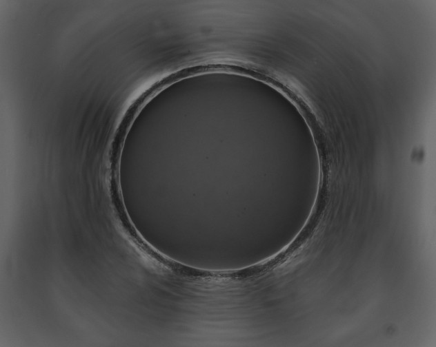 X0000091681024200708231412