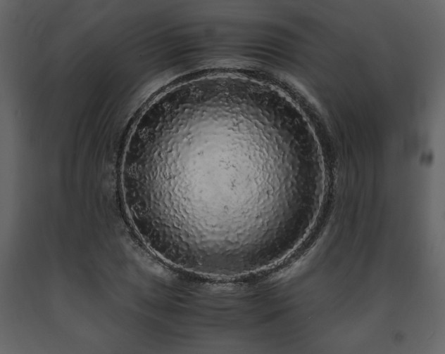 X0000091681025200708231412