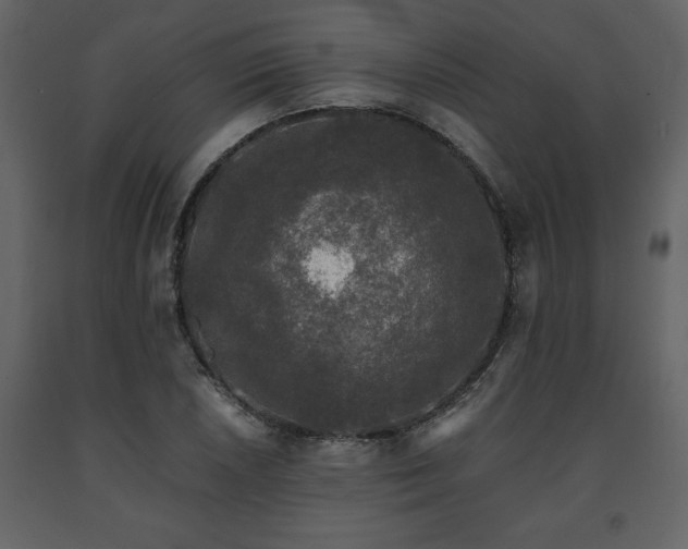 X0000091681026200708231412