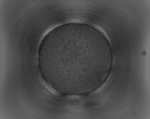 X0000091681027200708231412