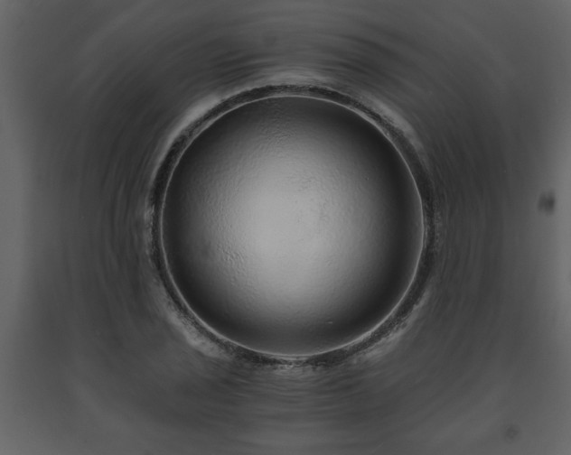 X0000091681029200708231412