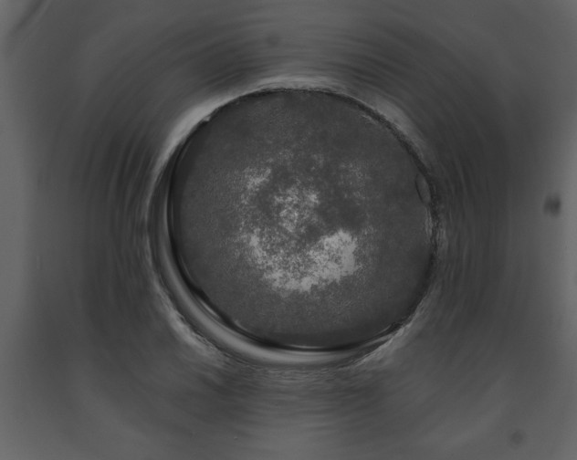 X0000091681030200708231412