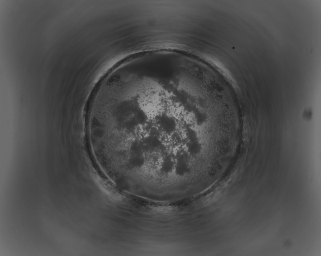 X0000091681031200708231412