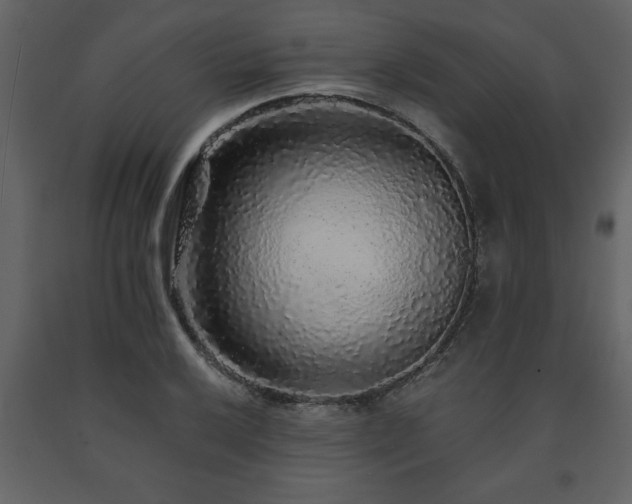 X0000091681032200708231412