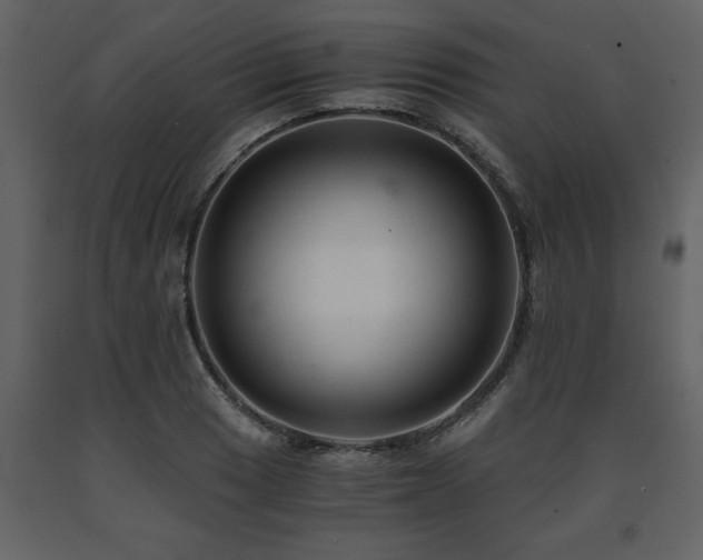 X0000091681033200708231412
