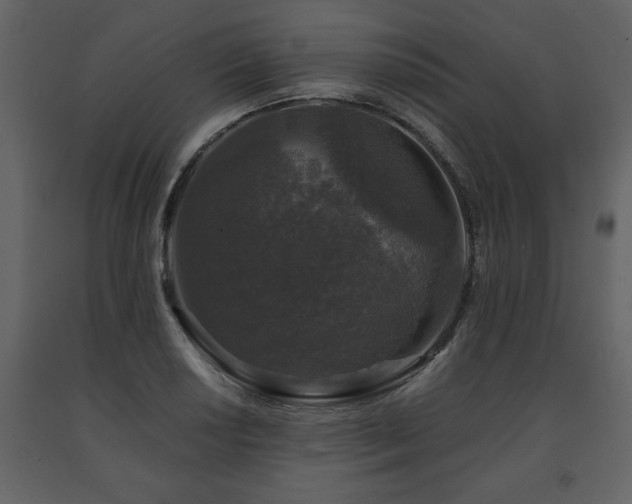 X0000091681034200708231412