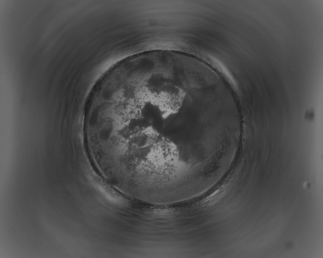 X0000091681035200708231412
