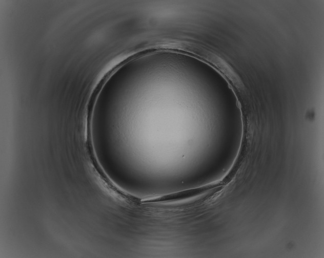X0000091681036200708231412