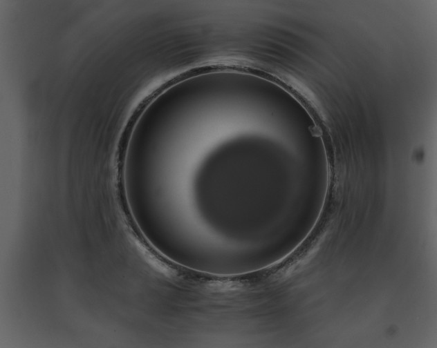 X0000091681037200708231412