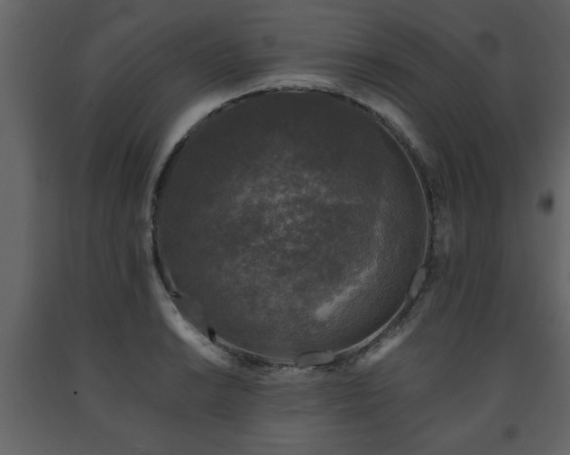 X0000091681038200708231412