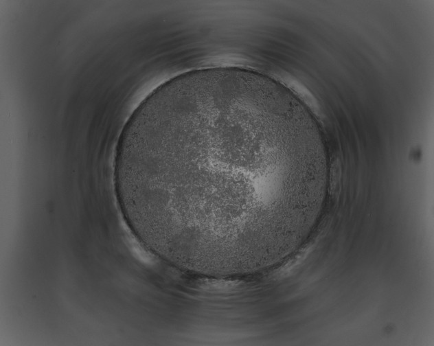 X0000091681039200708231412