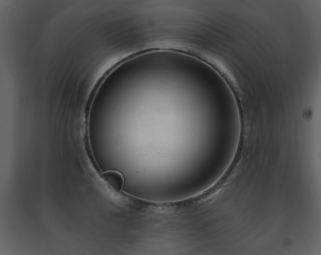 X0000091681040200708231412