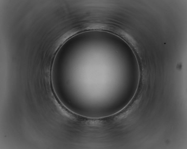 X0000091681041200708231412