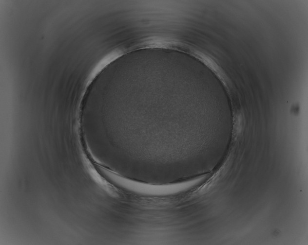 X0000091681042200708231412