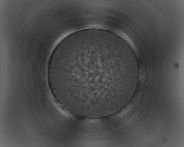 X0000091681043200708231412