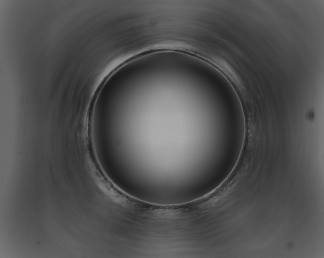 X0000091681044200708231412