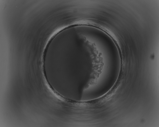 X0000091681045200708231412