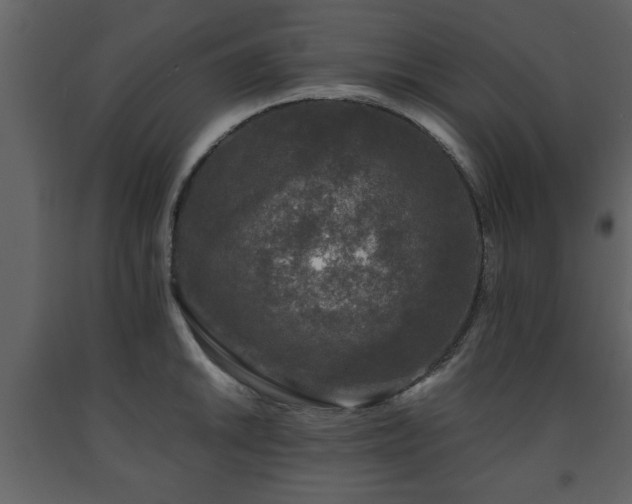 X0000091681046200708231412