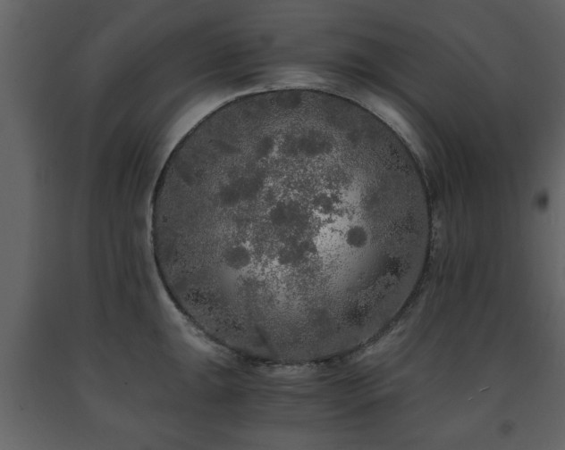 X0000091681047200708231412
