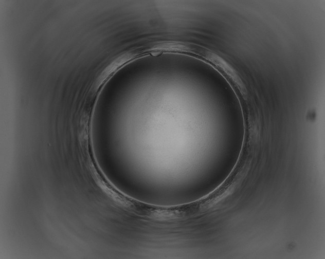 X0000091681049200708231412