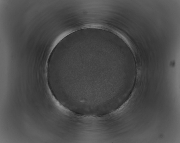 X0000091681050200708231412
