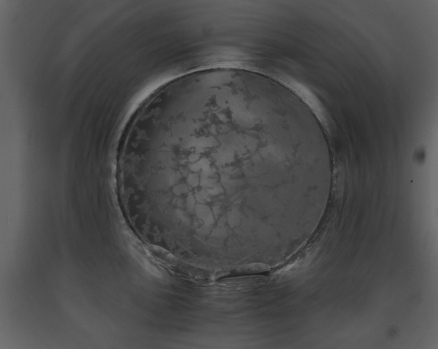 X0000091681051200708231412