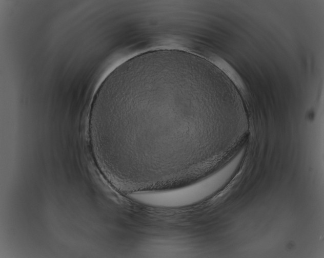 X0000091681052200708231412