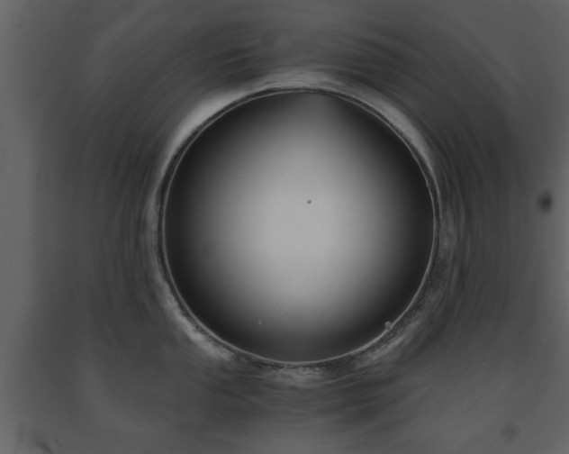 X0000091681053200708231412