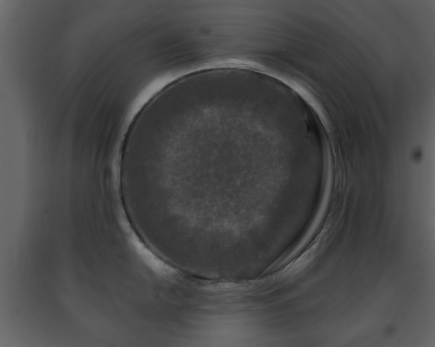 X0000091681054200708231412
