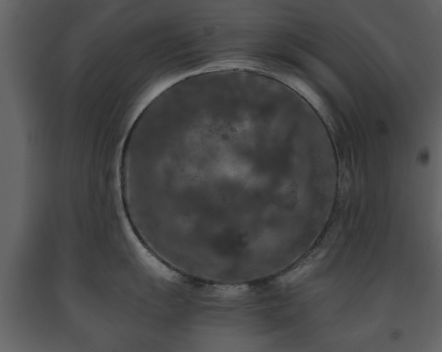 X0000091681055200708231412
