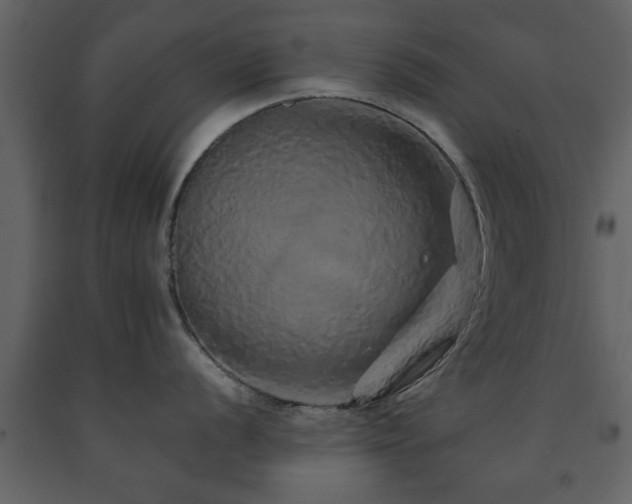 X0000091681056200708231412