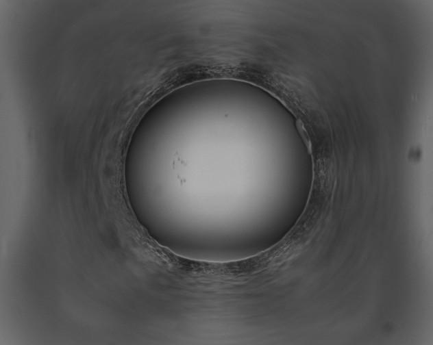 X0000091681057200708231411