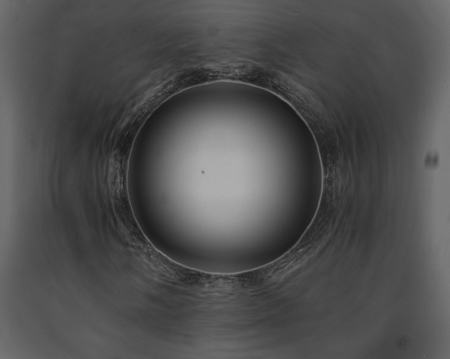 X0000091681058200708231411