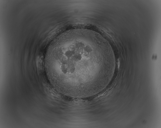 X0000091681059200708231411