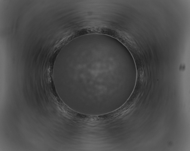 X0000091681060200708231411