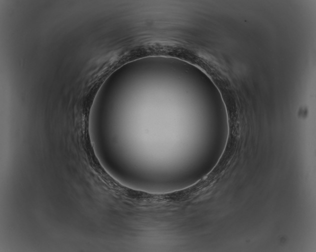 X0000091681061200708231411