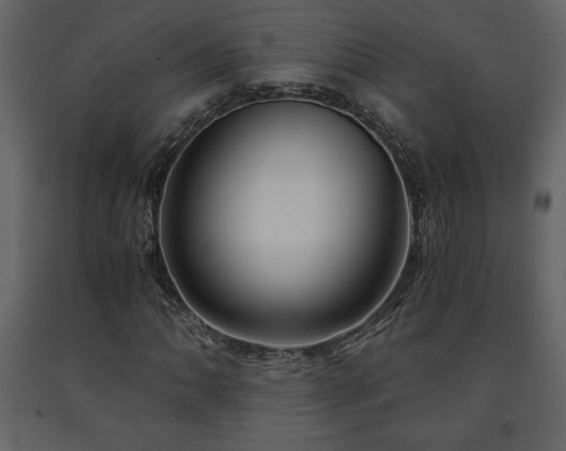 X0000091681062200708231411
