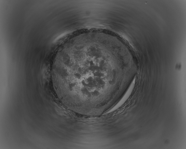 X0000091681063200708231411
