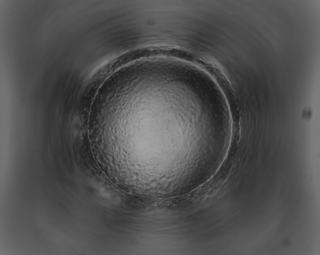 X0000091681064200708231411