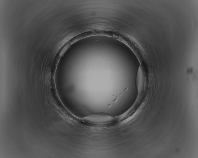 X0000091681065200708231411